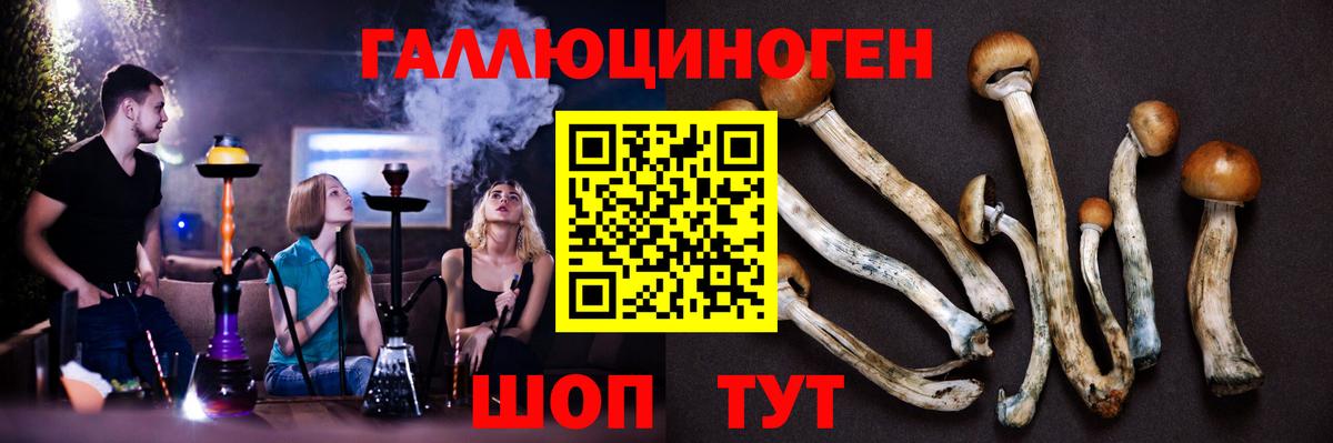 Псилоцибиновые грибы прущие грибы  Вход с VPN  магазин  наркотиков  Печора  Галлюциногенные грибы Magic Shrooms 